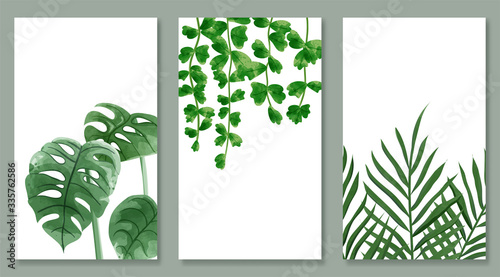 Set of botanic and wild leaves in watercolor painting. Design for frame hanging  poster  and card.