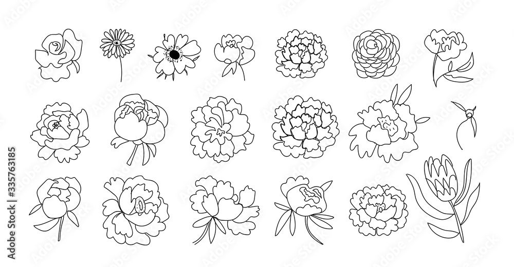 Big vector set of flowers Peony,Rose,Gerber,Anemon, Protea.Botanical illustrations black line art.Design for web,social networks,invitations for weddings,cards, coloring,packaging.