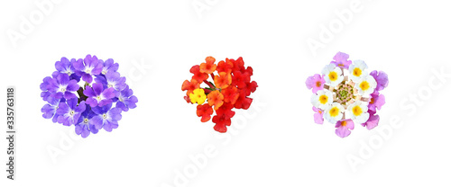 Set of purple, pink andred ...