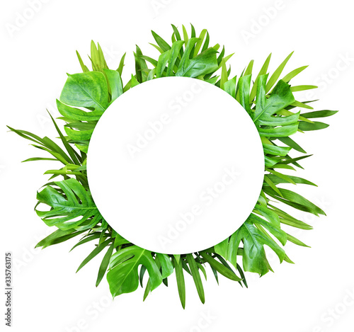 Green leaves of chameadorea palm and monstera with a round card for text