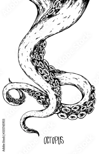 Tentacles  on a white background