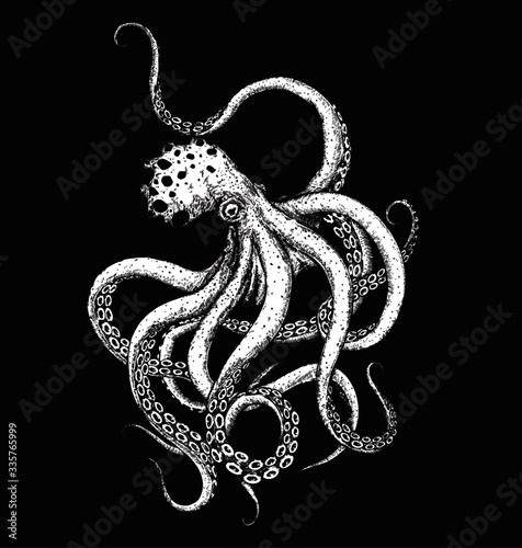 vector illustration of a octopus