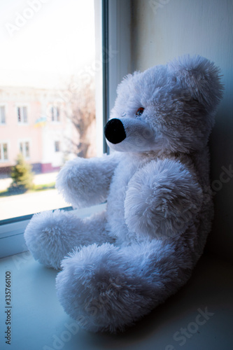White bear by the window