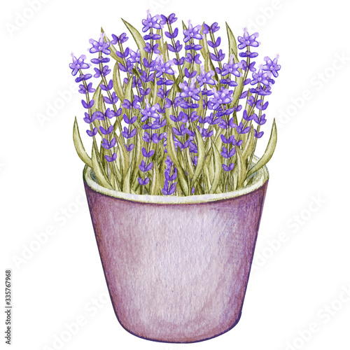 Watercolo lavender tin pot  provence