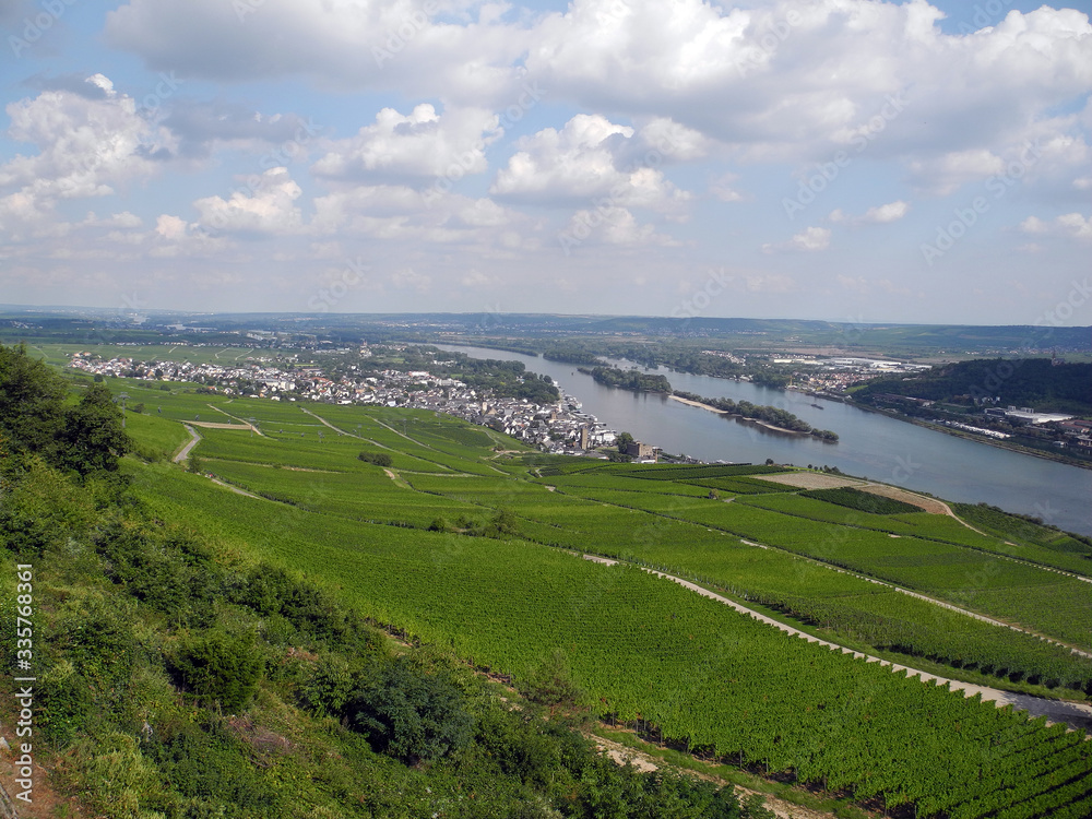 Blick auf Rüdesheim am Rhein