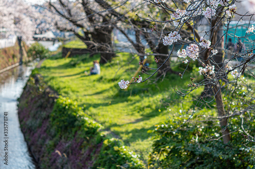 桜並木の土手と花見をする人達