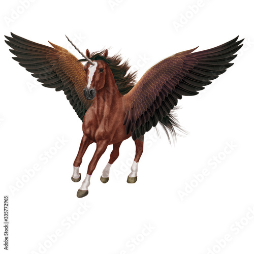 cheval  animal  en vol  volant  licorne  isol    brun       talon  mammif  re  course    galop  sauvage  chevalin  amoureux des chevaux  courir  ferme  crin  silhouette  nature  poney  dalmate  animal de