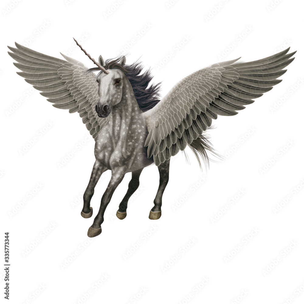 Fototapeta premium cheval, animal, en vol, volant, licorne, isolé, gris étalon, mammifère, course, , galop, sauvage, chevalin, amoureux des chevaux, courir, ferme, crin, silhouette, nature, poney, dalmate, animal de co