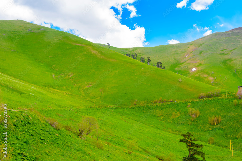 Obraz premium Beautiful mountain panorama with lush greens, blue skies, and puffy clouds