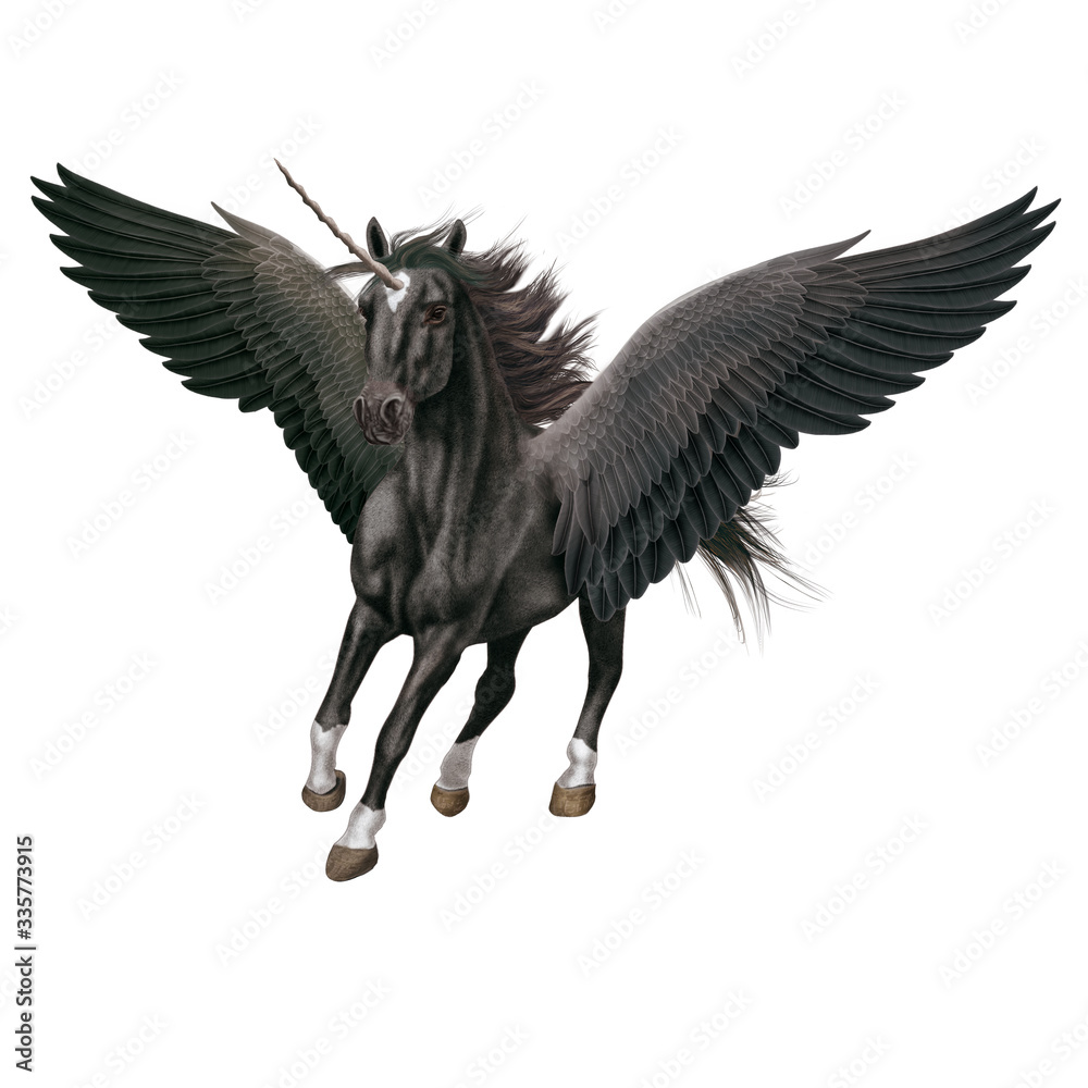 Obraz premium cheval, animal, en vol, volant, licorne, isolé, noir, étalon, mammifère, course, , galop, sauvage, chevalin, amoureux des chevaux, courir, ferme, crin, silhouette, nature, poney, dalmate, animal d