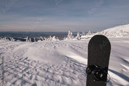 Beautiful view of snowboard standing in snow powder in winter snow-cowered forest and hills, freeride in sunny day