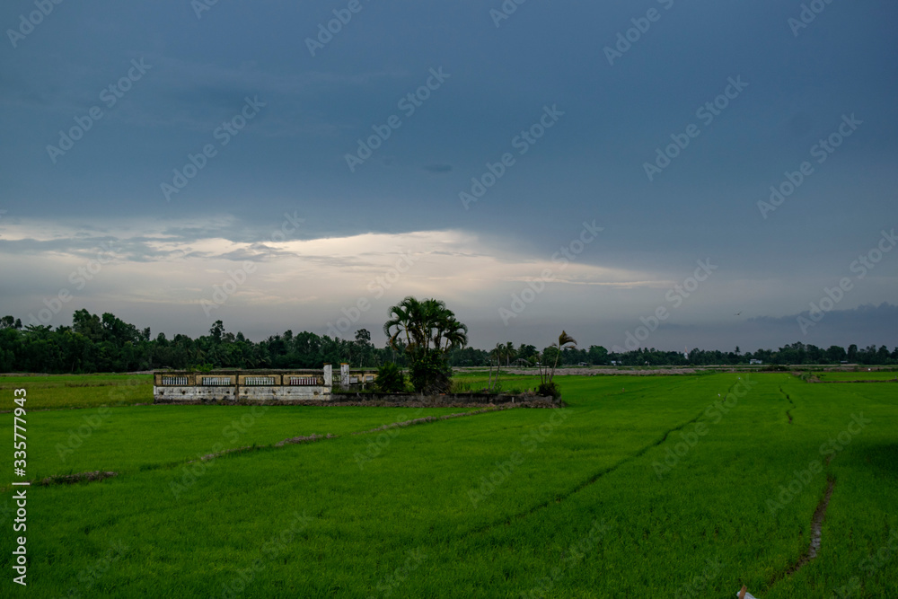 House fundations in green field mekong river vietnam