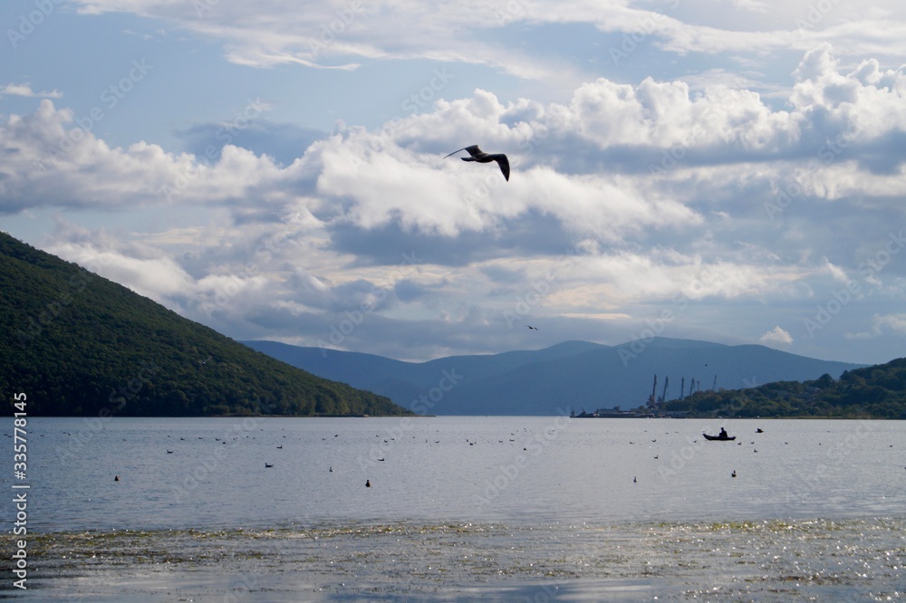 Fototapeta premium boats on the lake with seagulls