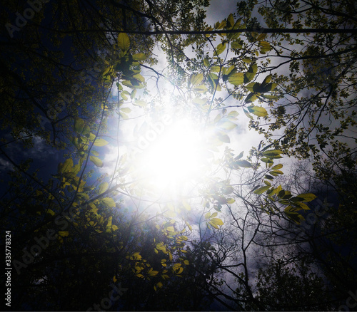 Blättersonnenschein