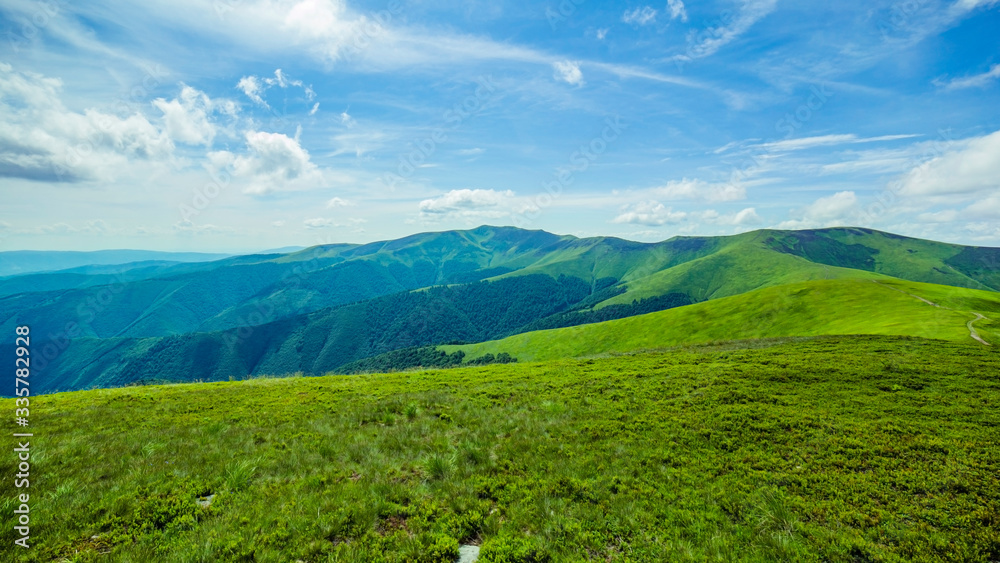 sunny afternoon. wonderful springtime landscape in mountains. grassy field and rolling hills. rural scenery. On a background of blue mountains. green alpine mountains covered with green grass. spring