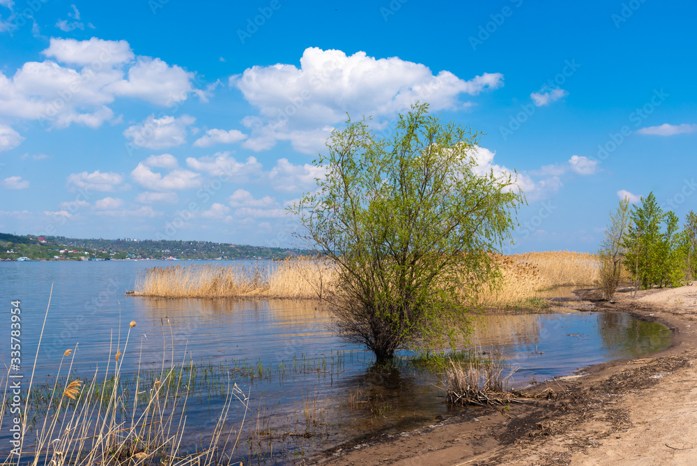 Empty sandy beach. Empty bay shore with trees and bushes on a sunny day without people. Empty sandy beach. Empty bay shore with trees and bushes on a sunny day without people.