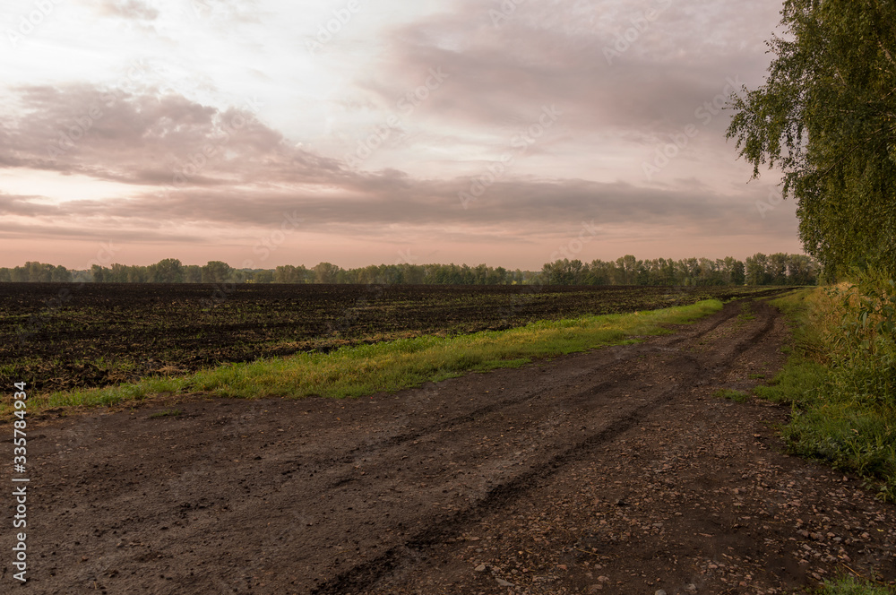 Sundown and sunrises. Silhouettes of trees on the background with bright purple sky and much clouds. Cultivated field Sundown and sunrises. Silhouettes of trees on the background with bright purple sky and much clouds. Cultivated field