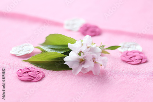 正月背景 水引飾りと桜の花（オオシマザクラ）