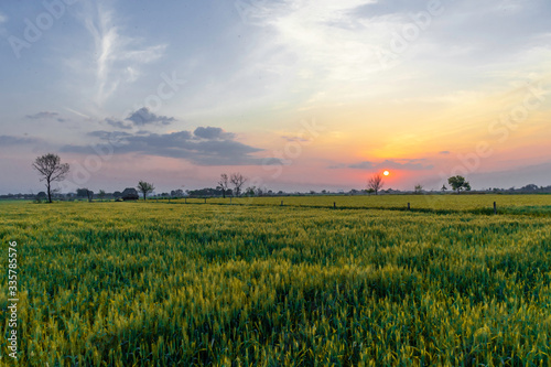 Fototapeta Naklejka Na Ścianę i Meble -  Evening sunset Uttar Pradesh India 