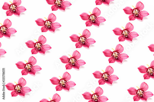 Background of pink orchid flowers on a white background
