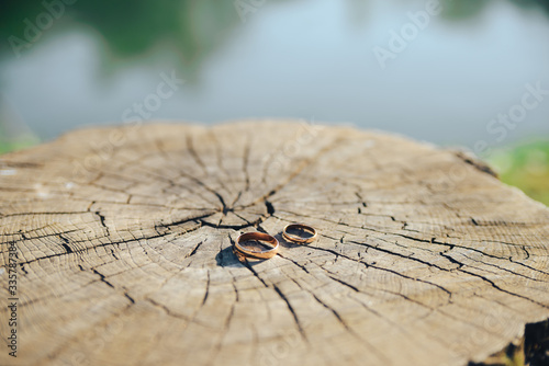 Wedding engagement rings on the old wooden stump with tree rings. Wedding background. photo