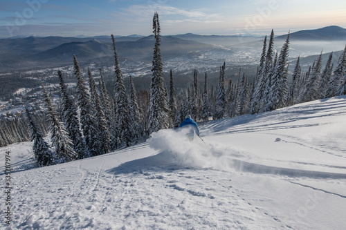 Freeride skier rides over off-piste slope in snow capped forest. Skier enjoying a deep powder turn.