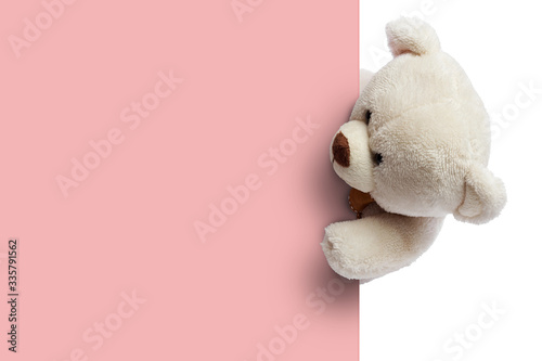 Adorable  teddy bear with empty space for commercial use photo