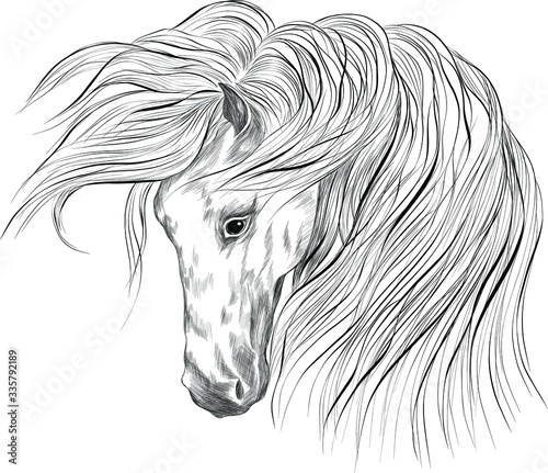 black white horse head coloring sketch vector illustration