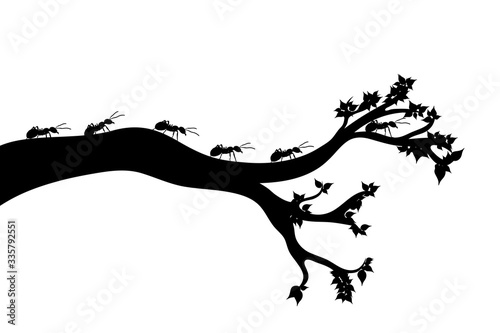Vector silhouette of branch with ants on white background. Symbol of nature.