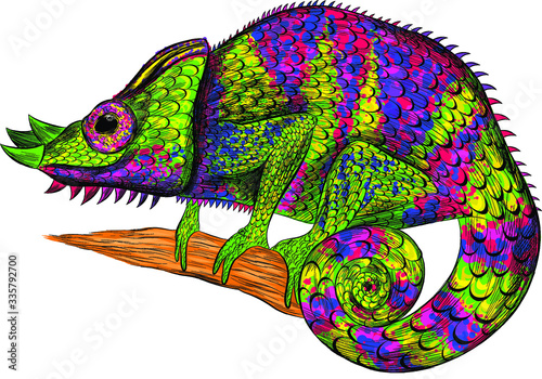 green orange blue yellow chameleon