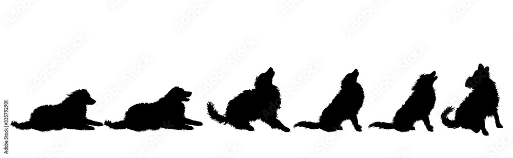 Collection of vector silhouette of dog on white background. Symbol of animal. Collection of vector silhouette of dog on white background. Symbol of animal.