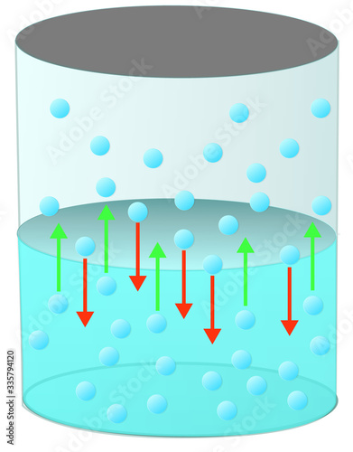 The pressure of the molecules in the vapor phase on the liquid at the moment of equilibrium