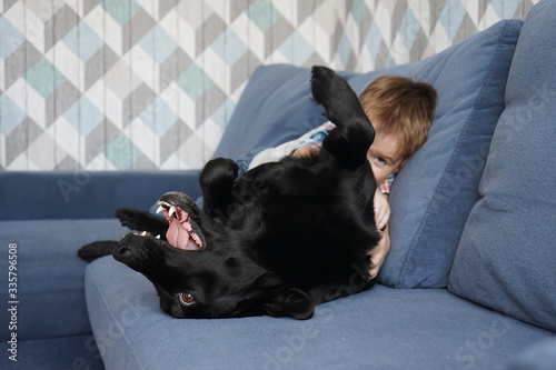 Cute little boy is playing with a big black dog a labrador retriever sitting on a blue sofa at home. The concept of friendship between a child with pets. during quarantin. Stay home Self-isolation.