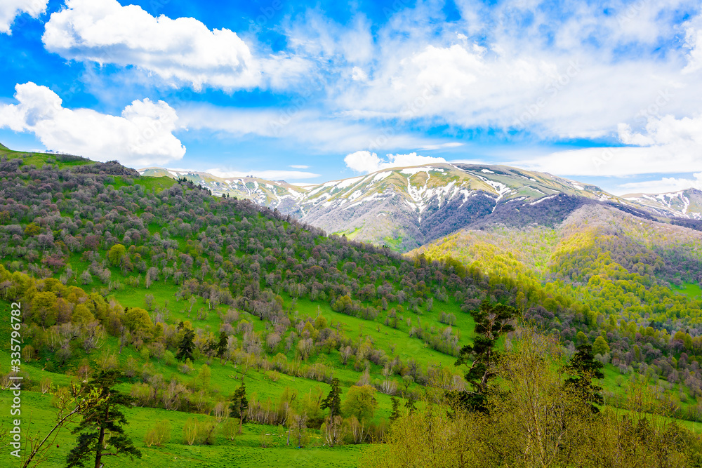 Beautiful mountain panorama with lush greens, blue skies, and puffy clouds