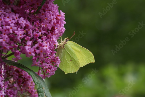 SONY DSC photo
