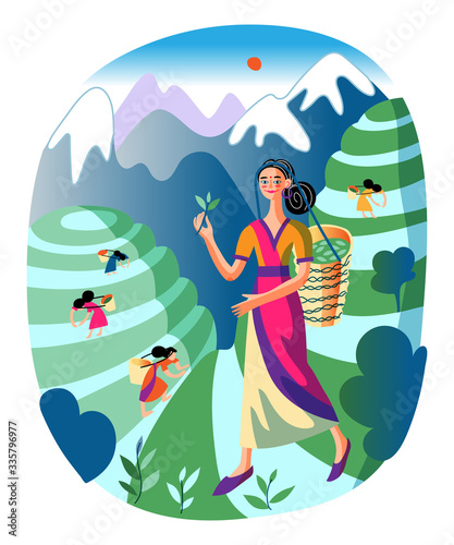 Happy smiling asian girl carrying wicker basket with green tea leaves. Woman in traditional chinese clothes standing on green field background. Traditionally dressed female character. Vector.