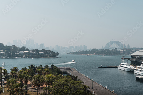 Harbour views of Pyrmont and Pirrama Park as seen from Giba Park near Jones Bay Wharf, Sydney. photo
