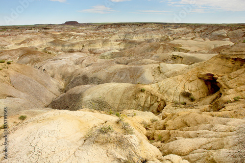 Petrified Forest National Park  in  Arizona named for its large deposits of petrified wood