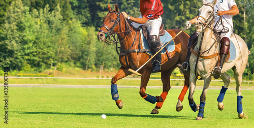 Two players in horse polo running into attack. Moment before the hammer strikes the ball. Summer season, green cut lawn, sunny day. Banner and Label Size © Naletova