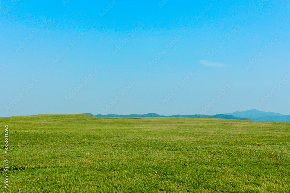 Green grass and sky with white clouds