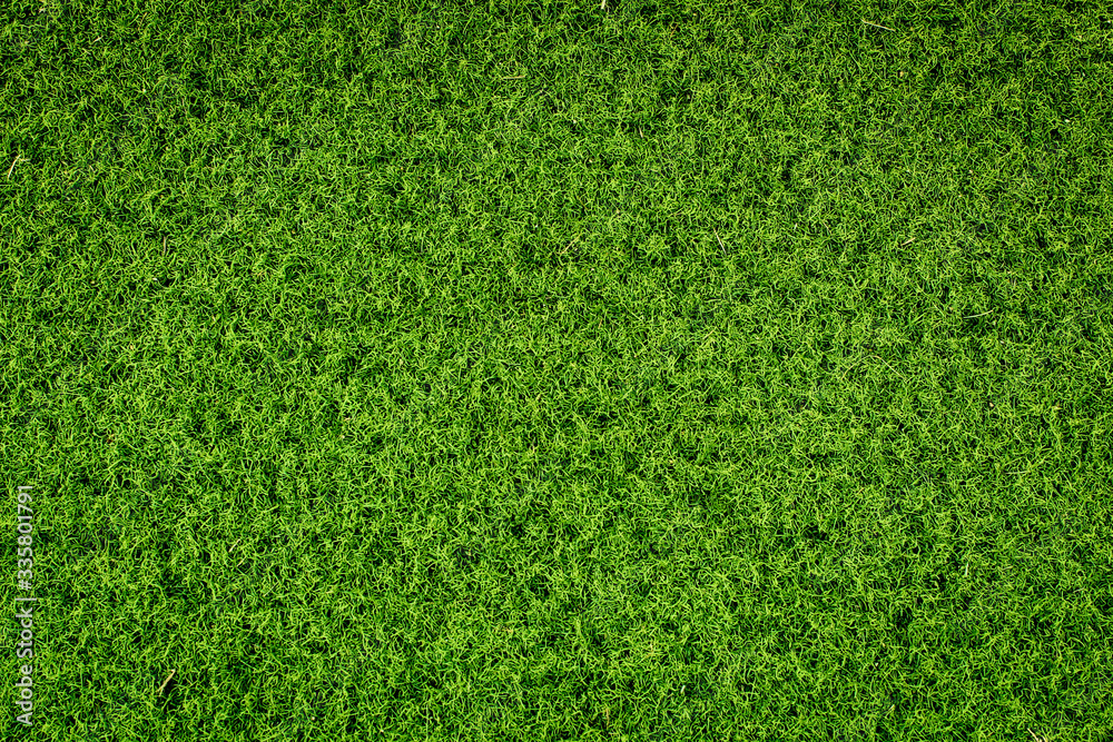 Fototapeta premium Green grass soccer field background.