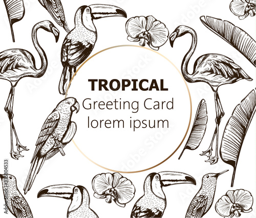 Line art composition of tropical animals and leaves. Flamingo, tucano bird, parrot and swallow