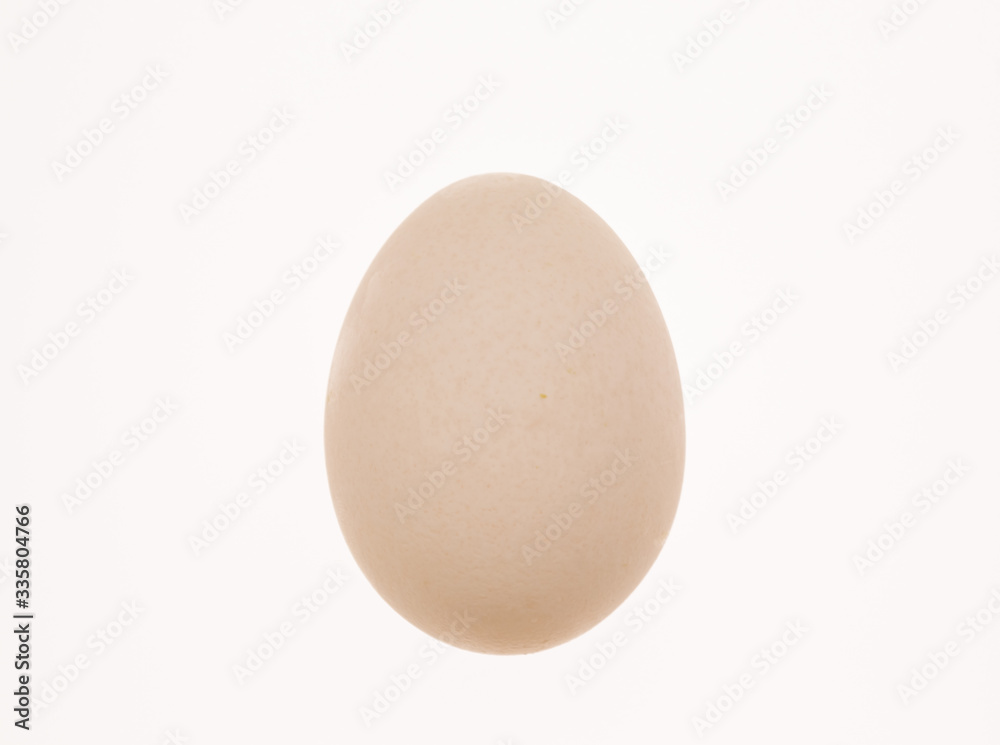 egg isolated on white background top view egg isolated on white background top view