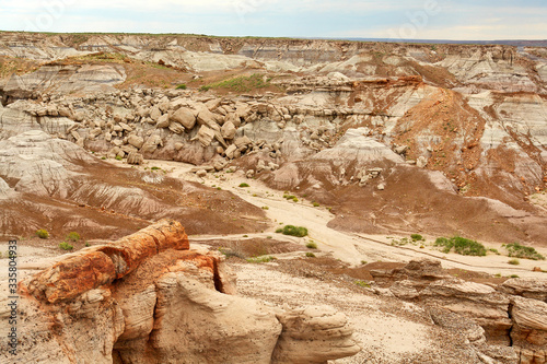 Petrified Forest National Park  in  Arizona named for its large deposits of petrified wood photo