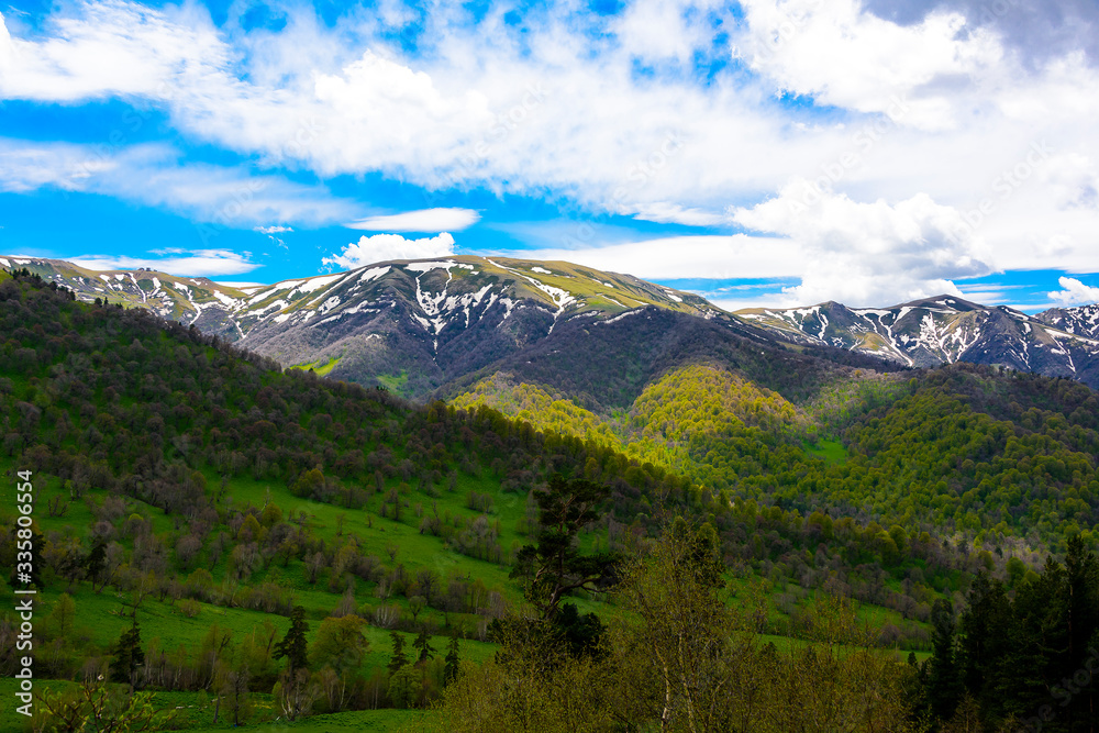 Beautiful mountain panorama with lush greens, blue skies, and puffy clouds