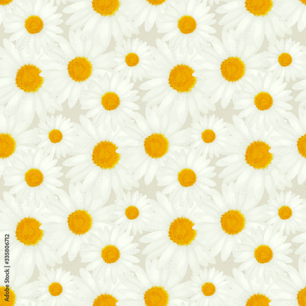 seamless daisy pattern and background vector illustration