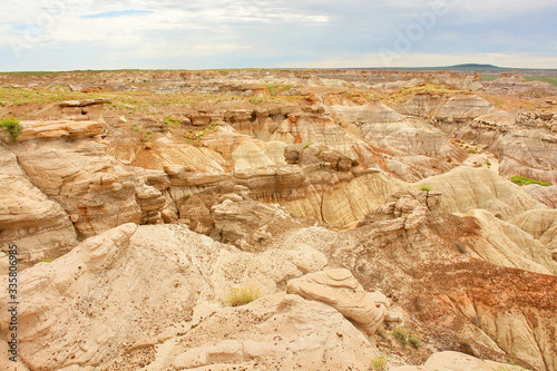 Petrified Forest National Park in Arizona named for its large deposits of petrified wood