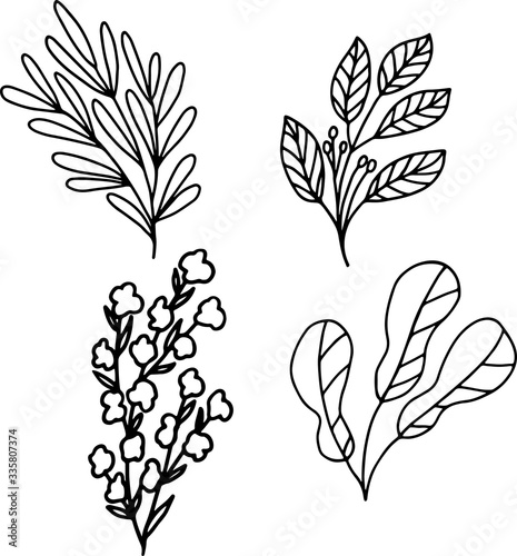 Obraz na plátne Vector set of linear drawing of leaves and flowers on a white background