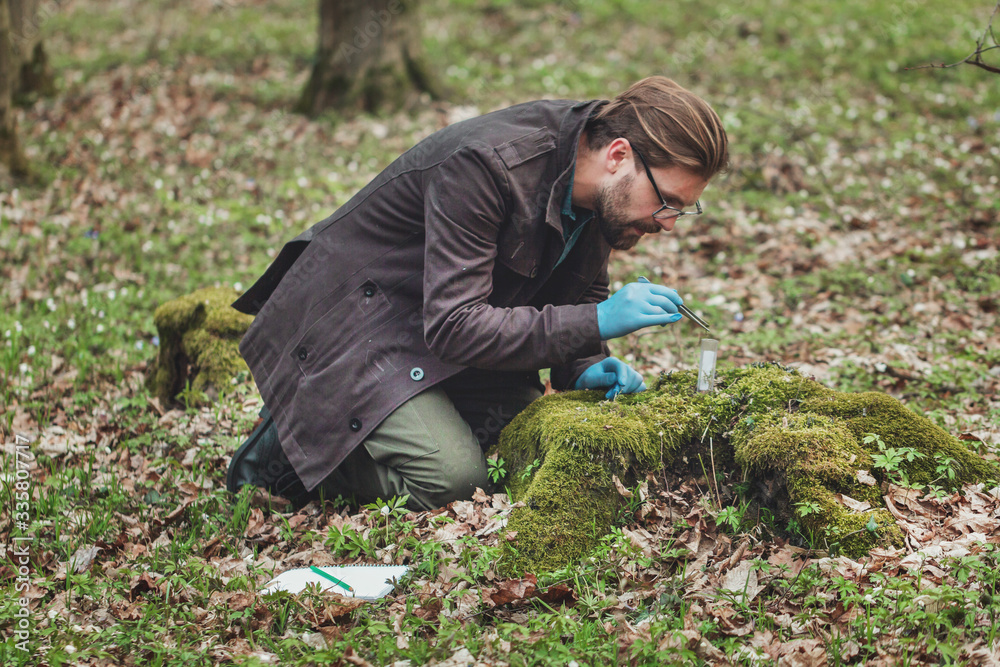Attentive botanist in latex gloves collecting moss samples with tweezers and putting it in test-tube Attentive botanist in latex gloves collecting moss samples with tweezers and putting it in test-tube