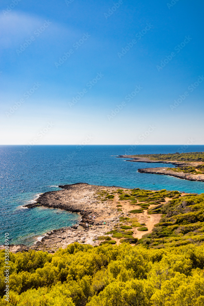 The wonderful bay of Porto Selvaggio. In Nardò, Italy, Puglia, Salento. The view of the panorama from the top of the promontory. The pine forest, the Mediterranean scrub. The blue sea to the horizon.